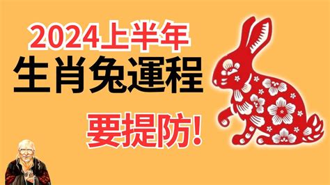 兔運程2024|属兔2024年运程及运势详解 2024年属兔人全年每月运。